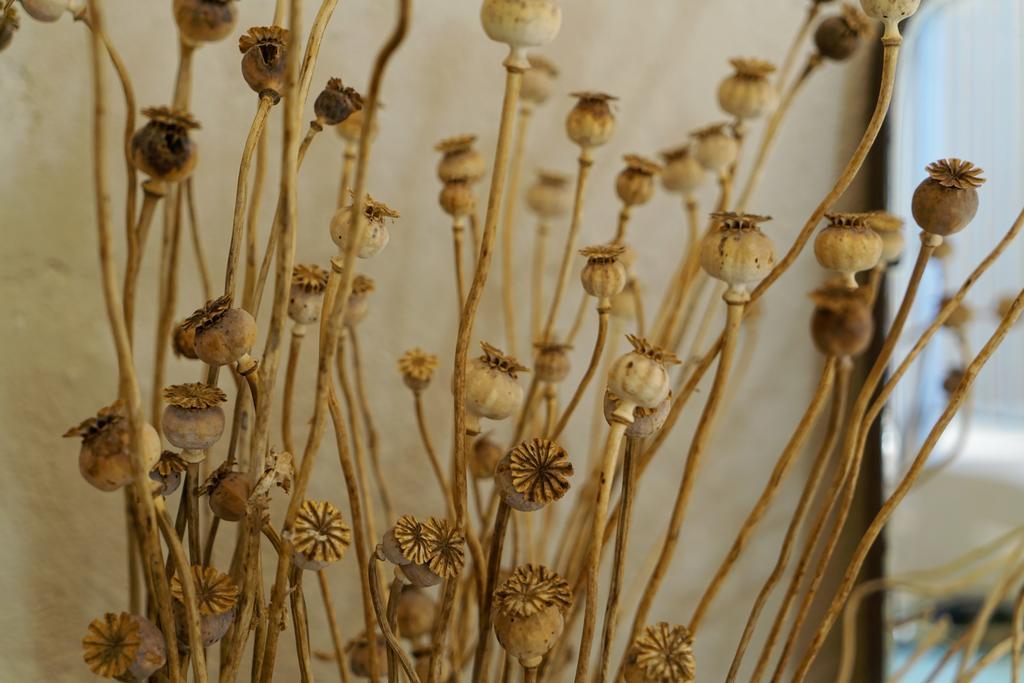 B&B Solosud Matera Ngoại thất bức ảnh